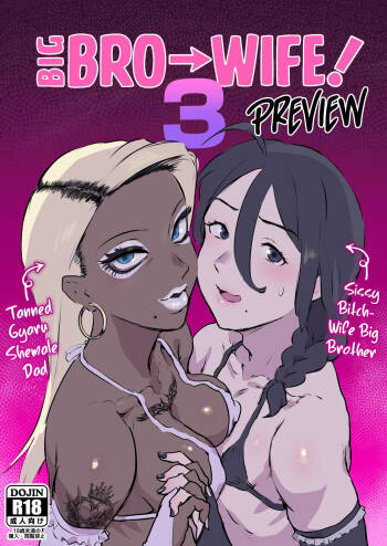 Ani→Yome! 3 cover