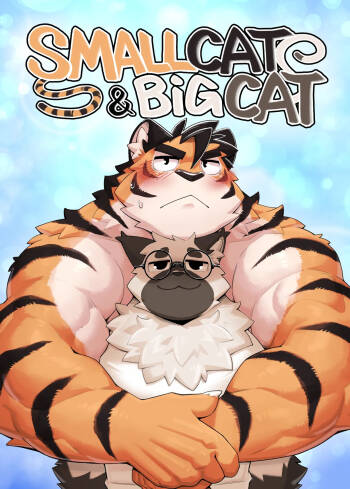 Small Cat & Big Cat cover