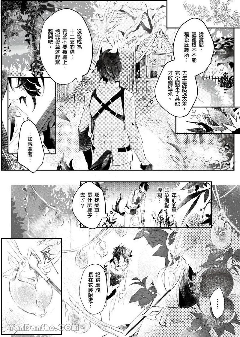 The Cat Doctor's Herbal Medicine Comes at a Price︱香草猫的收费医疗守则 page 6 full
