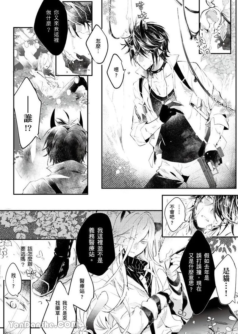 The Cat Doctor's Herbal Medicine Comes at a Price︱香草猫的收费医疗守则 page 7 full