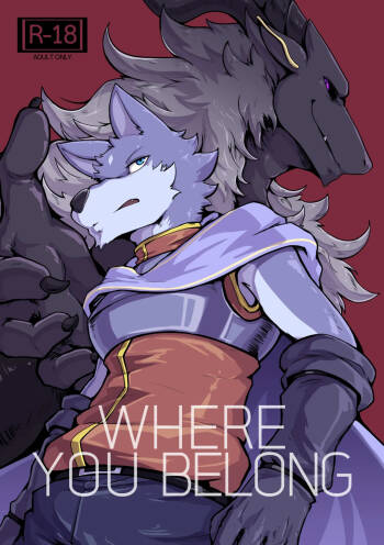 WHERE YOU BELONG cover