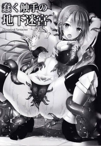 Dungeon&Tentacles cover