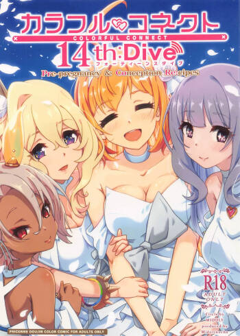 Colorful Connect 14th:Dive cover