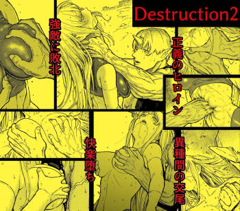 Destruction 2: The Complete Fall of the Defeated Heroine cover