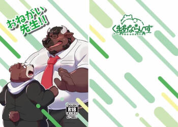 Onegai Sensei!! cover