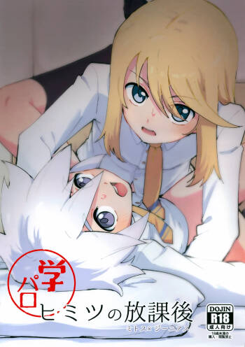 Himitsu no Houkago cover
