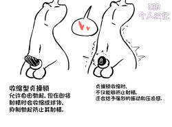 여존남비 세상의 정조대 女尊男卑世界的贞操锁