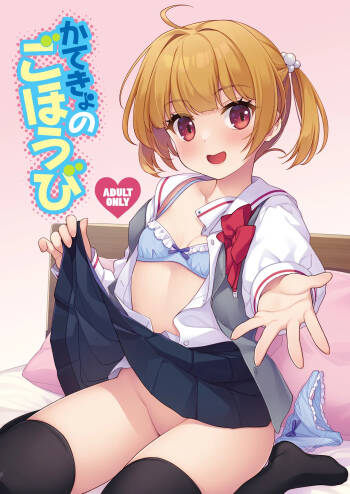 Katekyo no Gohoubi cover