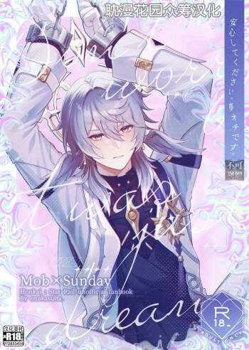 Anshin Shite Kudasai, Yume Ochidesu. cover