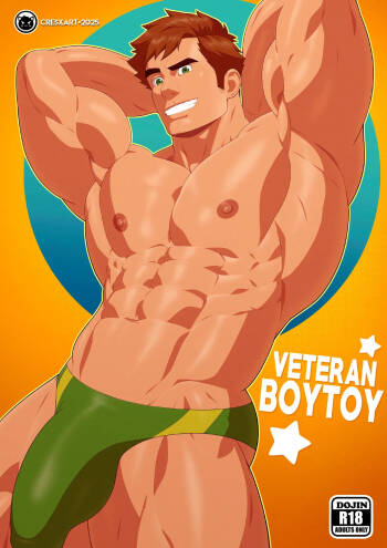 Veteran Boytoy cover