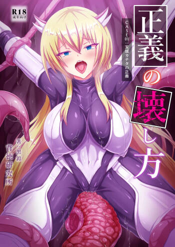 正義の壊し方 cover