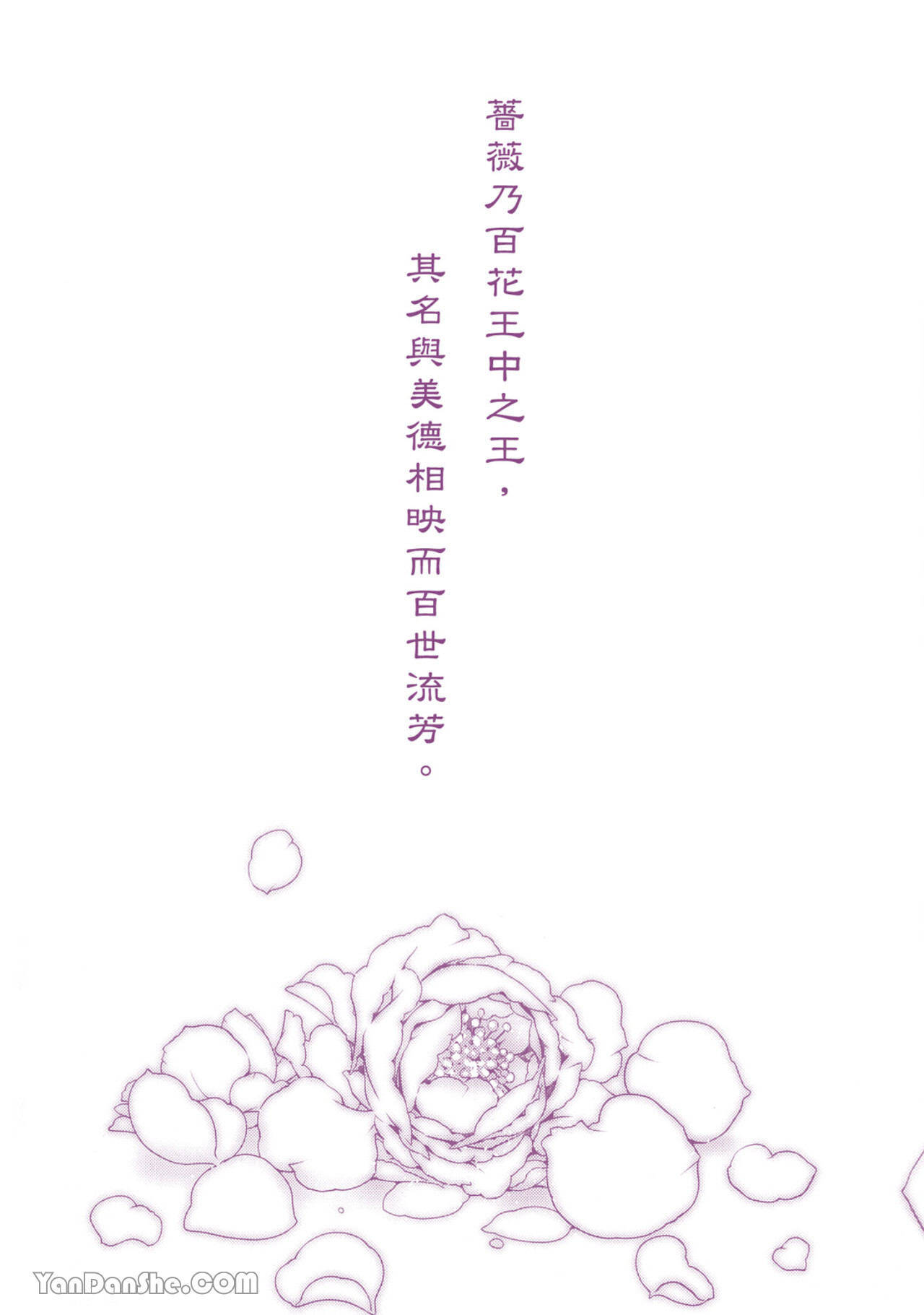 百日の蔷薇 Maiden Rose︱百日蔷薇 Maiden Rose page 3 full