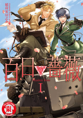 百日の蔷薇 Maiden Rose︱百日蔷薇 Maiden Rose cover