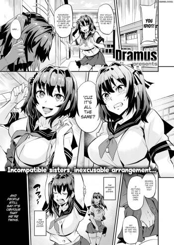 Dual Swap cover
