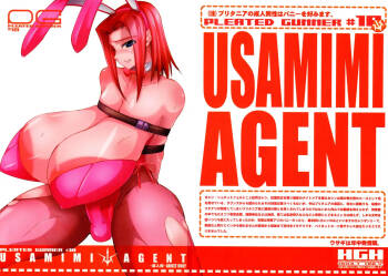 Pleated Gunner #18 - Usamimi Agent cover