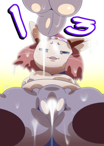 13 cover
