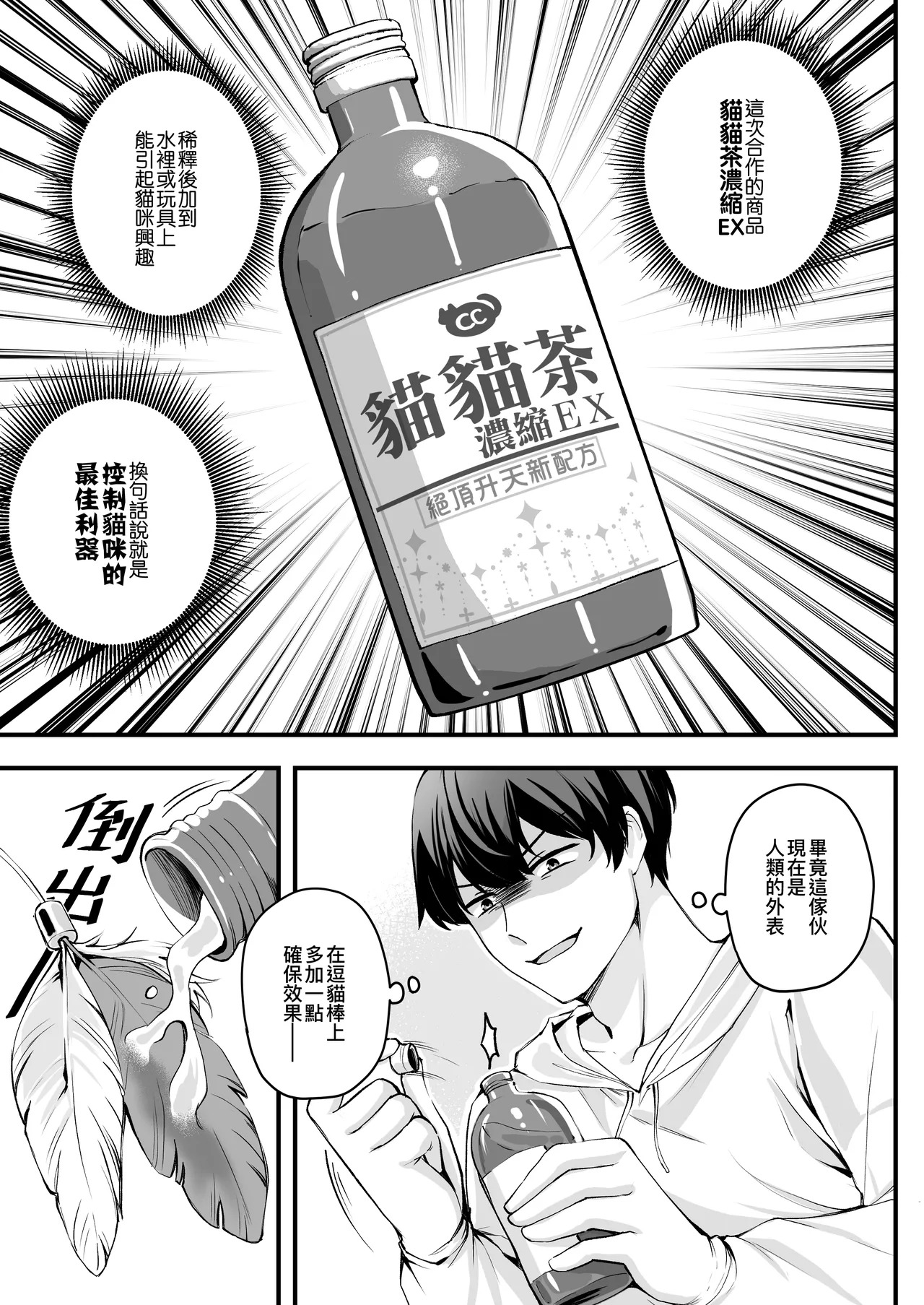 Dou Mao Bang de Shiyong Fangshi | 逗貓棒的使用方式 page 10 full