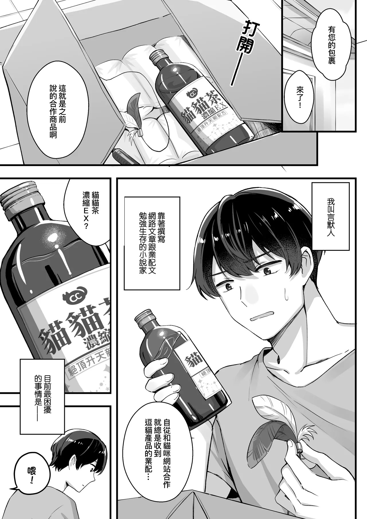 Dou Mao Bang de Shiyong Fangshi | 逗貓棒的使用方式 page 6 full