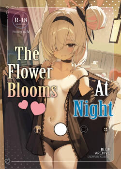 Kono Yoru, Hana wa Somari | The Flower Blooms At Night!