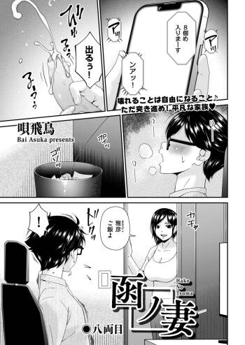 Hako no Tsuma Hachiryōme cover