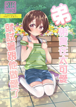 Ototo ga kawaiinode sekkusu shite mita