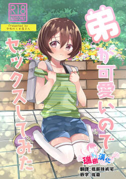 Ototo ga kawaiinode sekkusu shite mita | 由于弟弟太可爱了便试着和他做了