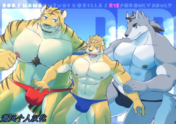 DDD cover