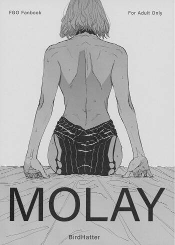 MOLAY cover