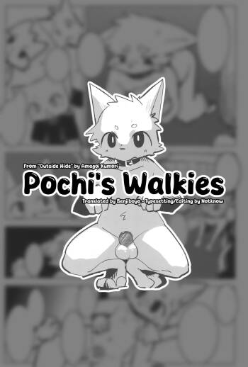 Pochi's Walkies cover
