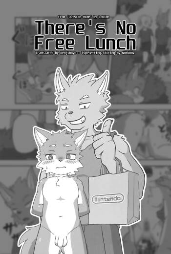 There's No Free Lunch cover