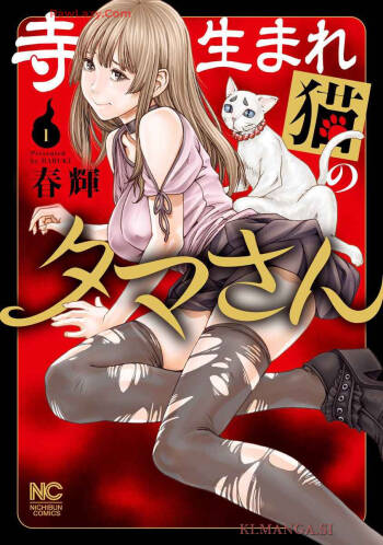 Tera Umare Neko no Tama-san Volume 1 cover