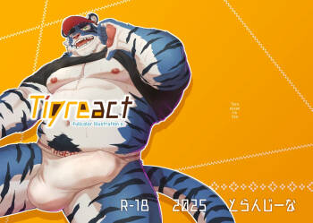 Tigreact cover