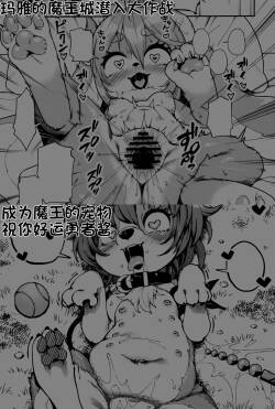玛雅的魔王城潜入大作战 及 成为魔王宠物的勇者酱 两篇