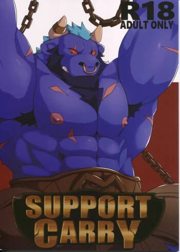 SUPPORT CARRY cover
