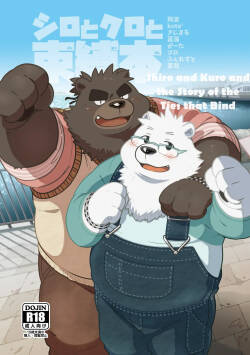 Shiro and Kuro and the Story of the Ties that Bind