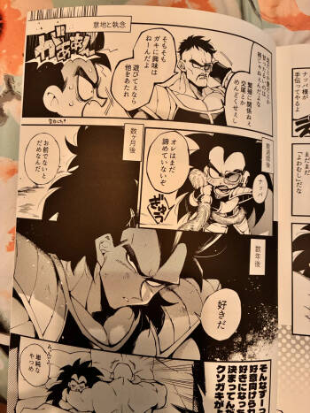 Raditz cover