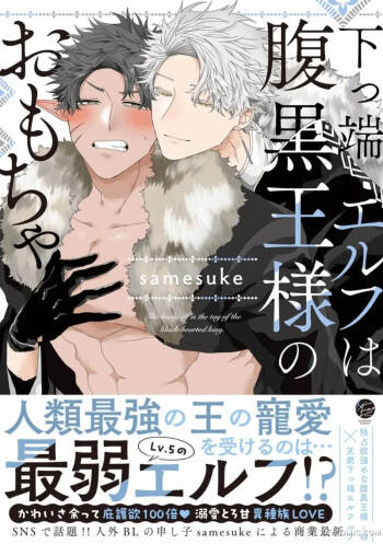 底层精灵是腹黑国王的玩物 cover