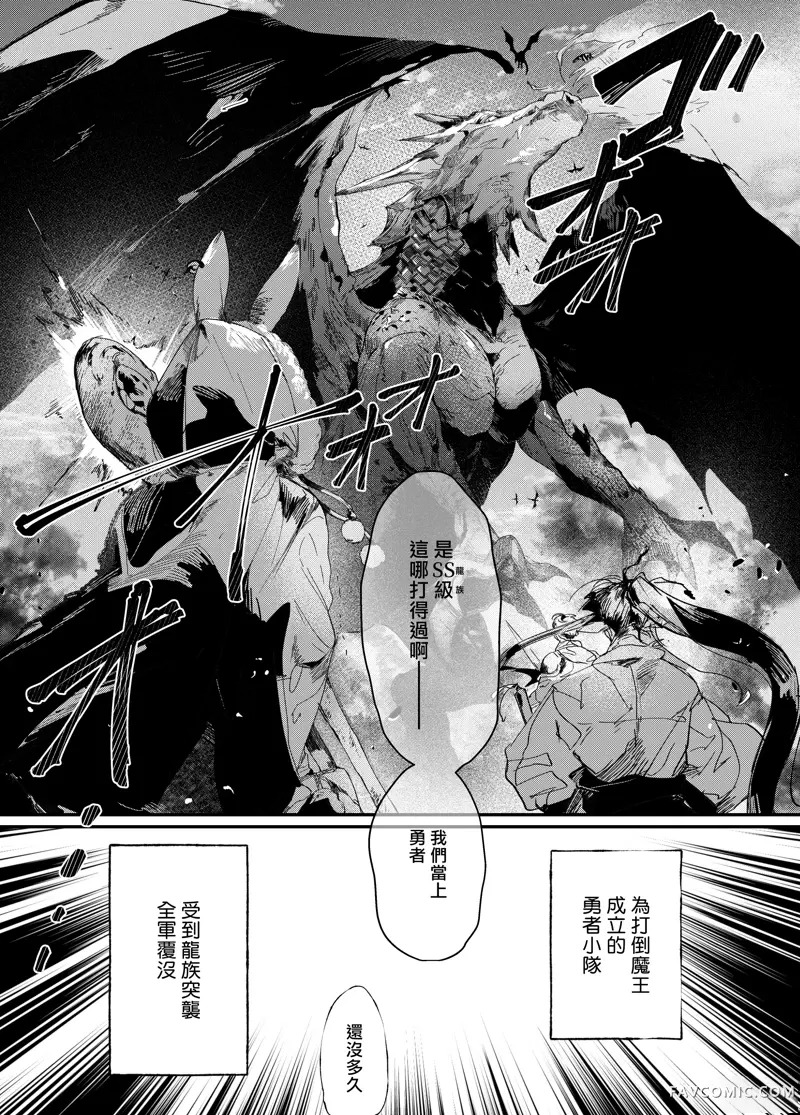 用咒术帮助勇者小队的暗杀者 - 短篇 page 2 full