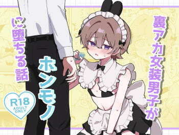 裏アカ女装男子がホンモノに堕ちる話 cover