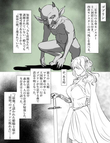 姫騎士vsゴブリン cover