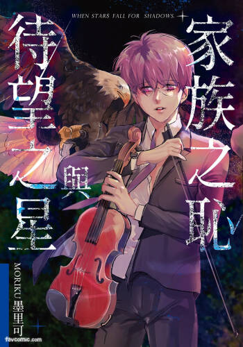 家族之耻与待望之星 cover