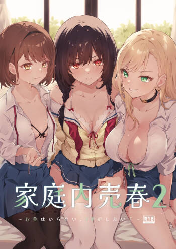 NICOLAI  katei nai baisyunn 2 cover