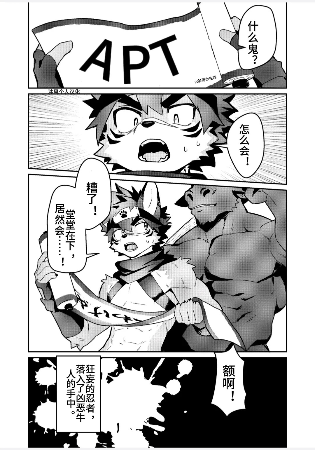 忍者的夜晚 ［沐风汉化］ page 5 full