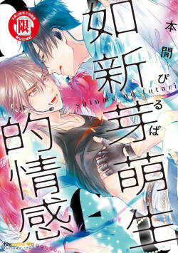 Shinme no Futari︱如新芽萌生的情感