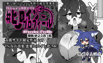Heroine Profile⑫ cover