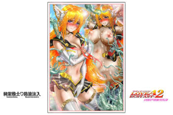Virginal LoveA ECSTASY 2 Junketsu Senshi Nenneki Chuunyuu cover