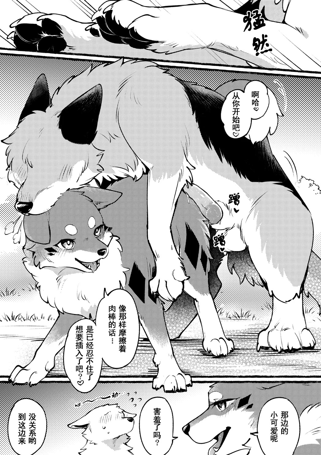 Kitsuneinu ga Dekkai Ookami-san-tachi to 3P Suru Dake. | 狐犬只是和大狼们进行3P而已。 page 10 full
