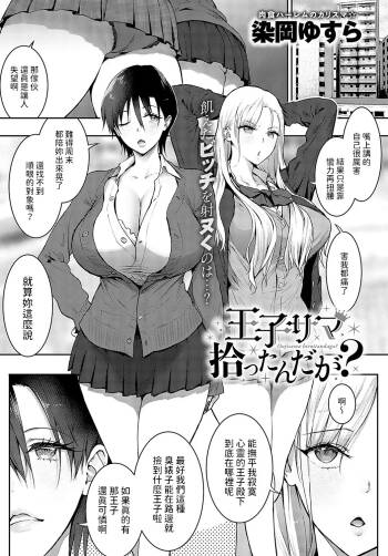 _王子サマ拾ったんだが___ cover
