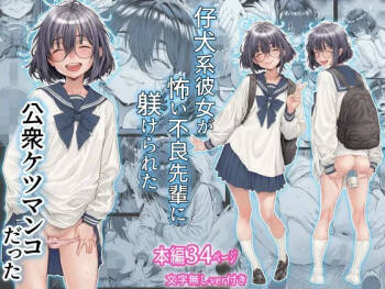 Koinu-kei Kanojo wa Kowai Furyou Senpai ni Shitsukerareta Koushuu K chinese cover