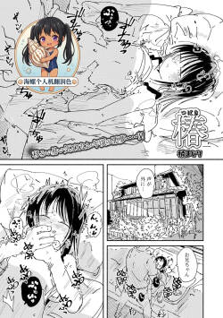 Tsubaki | 椿（山茶花）